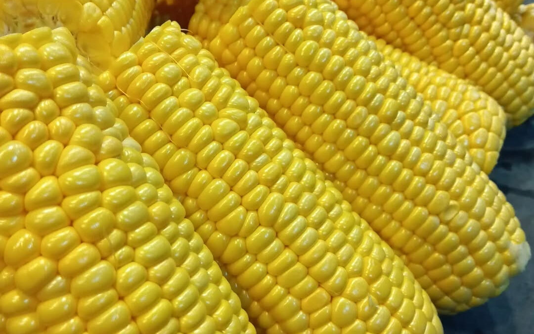✨ 皆さま、夏の訪れと共に寿司店で新たな季節限定メニューが登