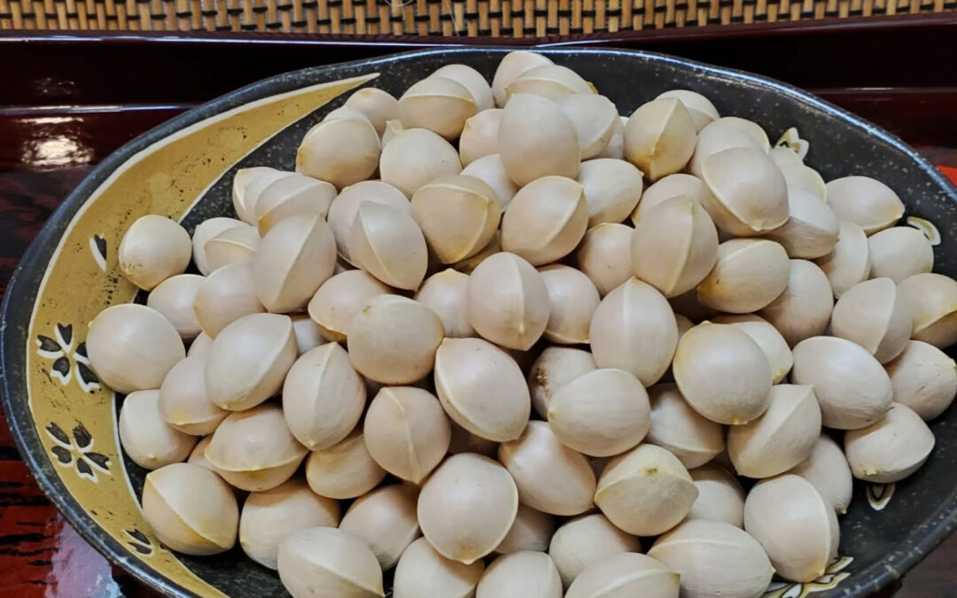 こんばんわ、今回は羽島産銀杏のご案内です地産地消