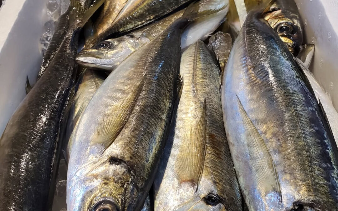 皆様、こんにちは 特別な一品をご紹介します！時期外れですが、