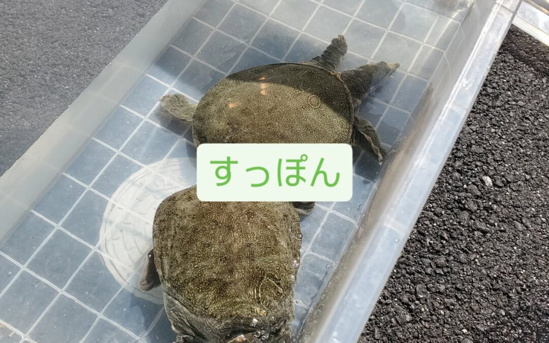 おはようございまーーーす‼️